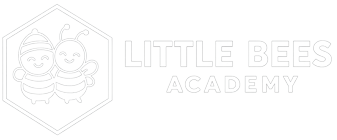 Little Bees Academy